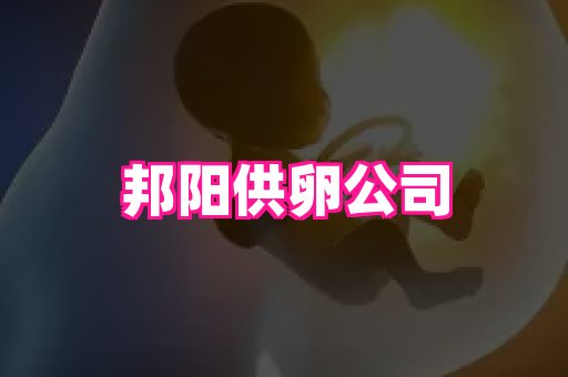 潍坊助孕网 3