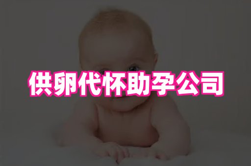潍坊助孕网 4